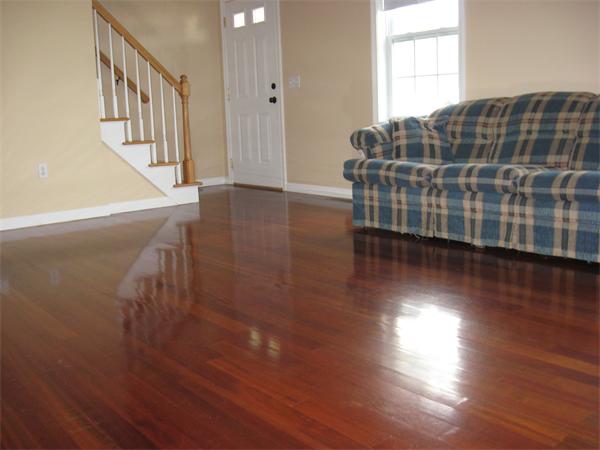 20 Green Way Springfield, MA 01118 - Photo 8 of 26