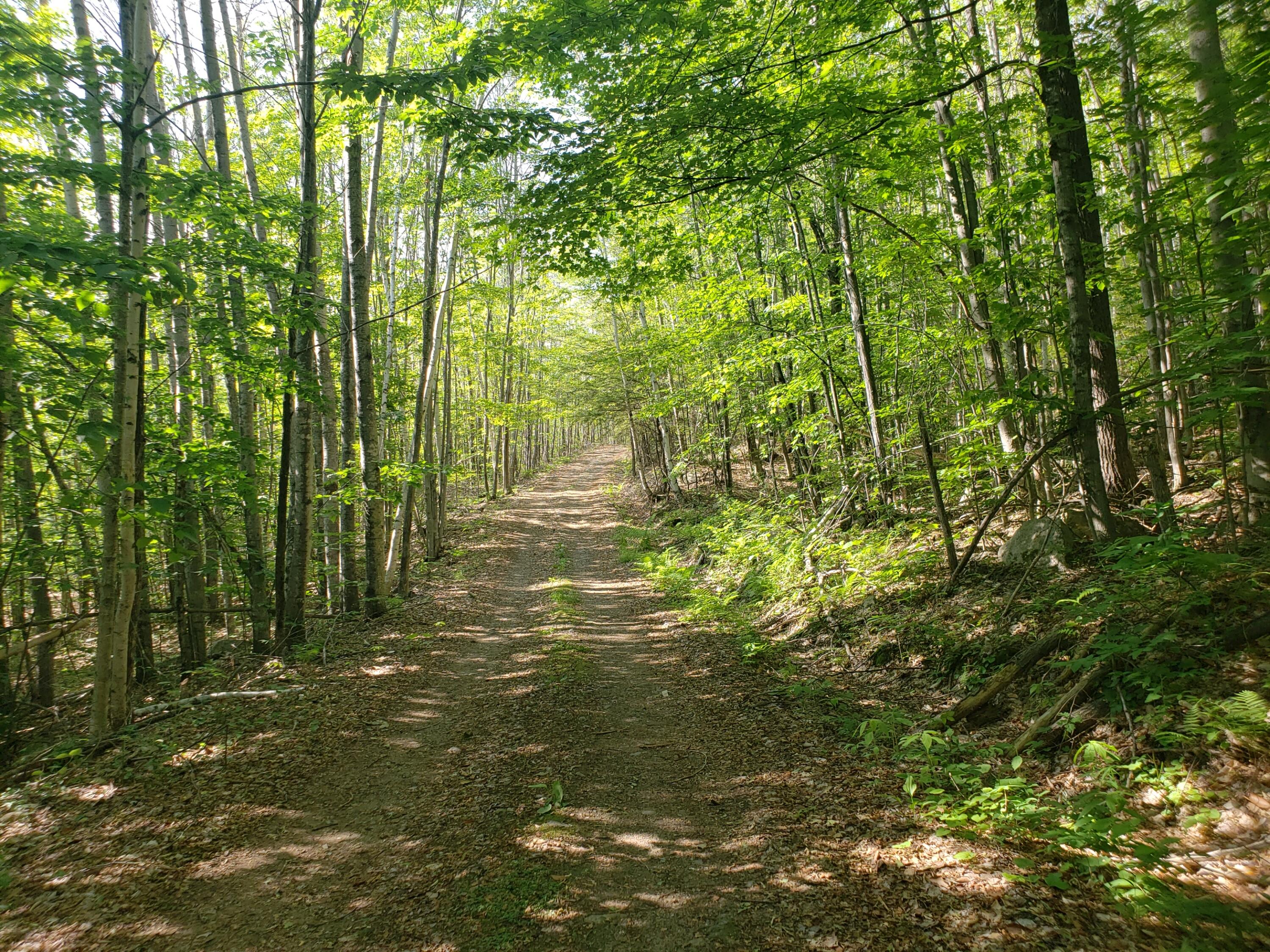 F French Hill Road Bethel, ME 04217 - Photo 10 of 18 road to lot