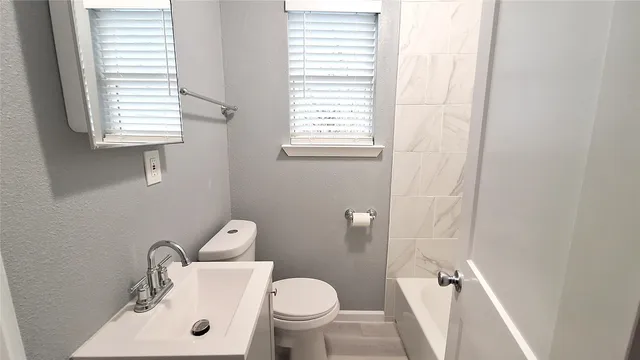 a bathroom with a sink and a toilet