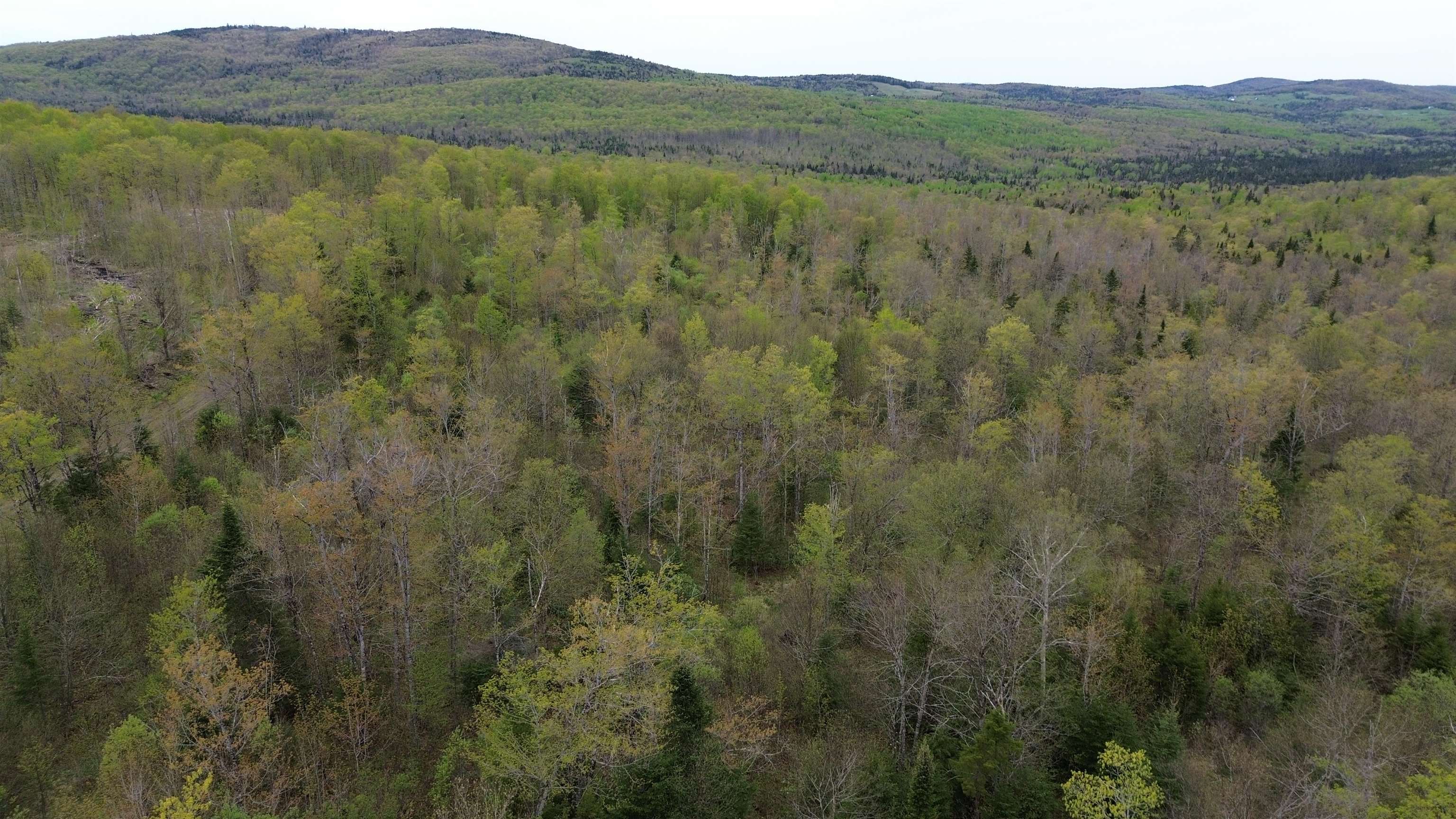 Mapb2-lot16 Dead Water Road Stewartstown, NH 03576 - Photo 30 of 31