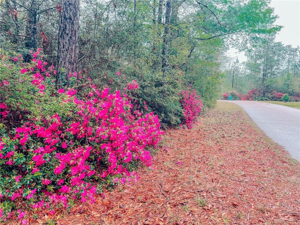 0 Bealer Road Bush, LA 70431 - Photo 2 of 7 Gallery Image 2