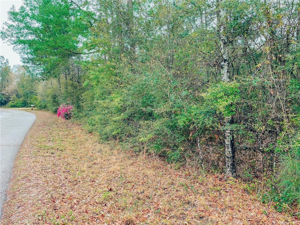 0 Bealer Road Bush, LA 70431 - Photo 3 of 7 Gallery Image 3