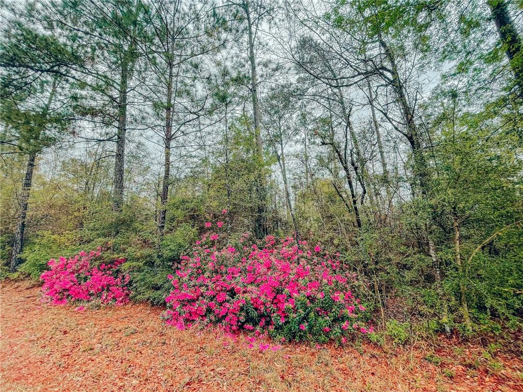 0 Bealer Road Bush, LA 70431 - Photo 5 of 7 Gallery Image 5