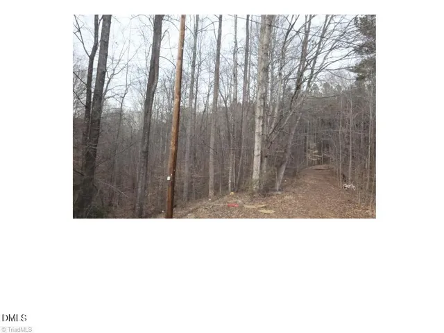 $145,000 | 0 Mountain View, Pelham, NC 27311