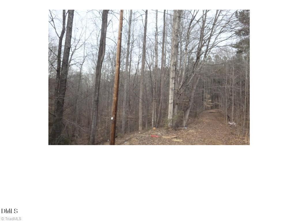 0 Mountain View Pelham, NC 27311 - Photo 2 of 3