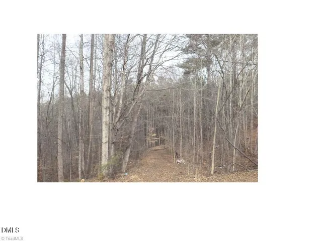 $145,000 | 0 Mountain View, Pelham, NC 27311