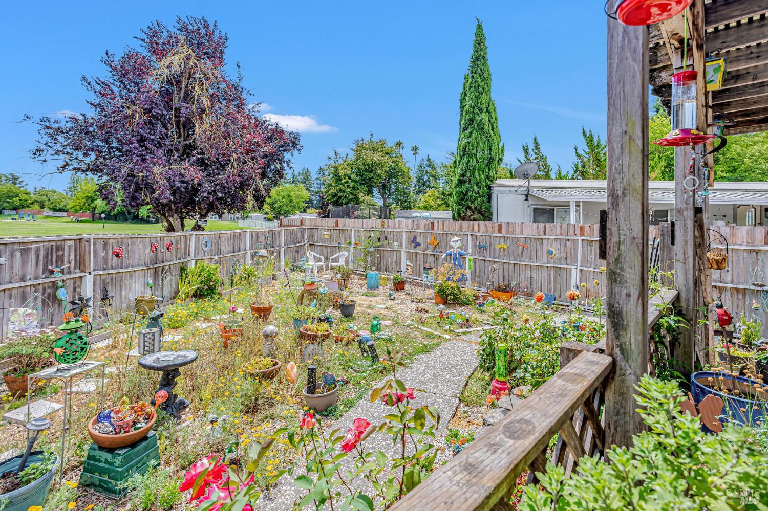 817 Corte Azul Rohnert Park, CA 94928 - Photo 36 of 41