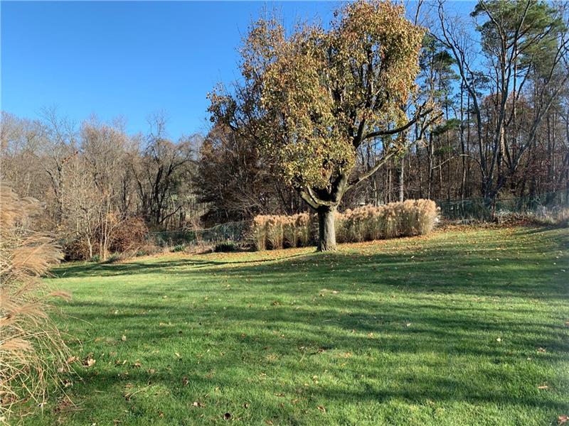 110 Thorne Road Washington, PA 15301 - Photo 25 of 25 Very pretty, flat back yard.