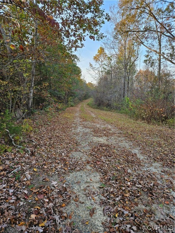 0 Vessel's Road Newtown, VA 23126 - Photo 11 of 43 Gallery Image 11