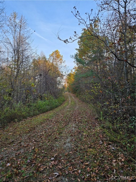 0 Vessel's Road Newtown, VA 23126 - Photo 12 of 43 Gallery Image 12