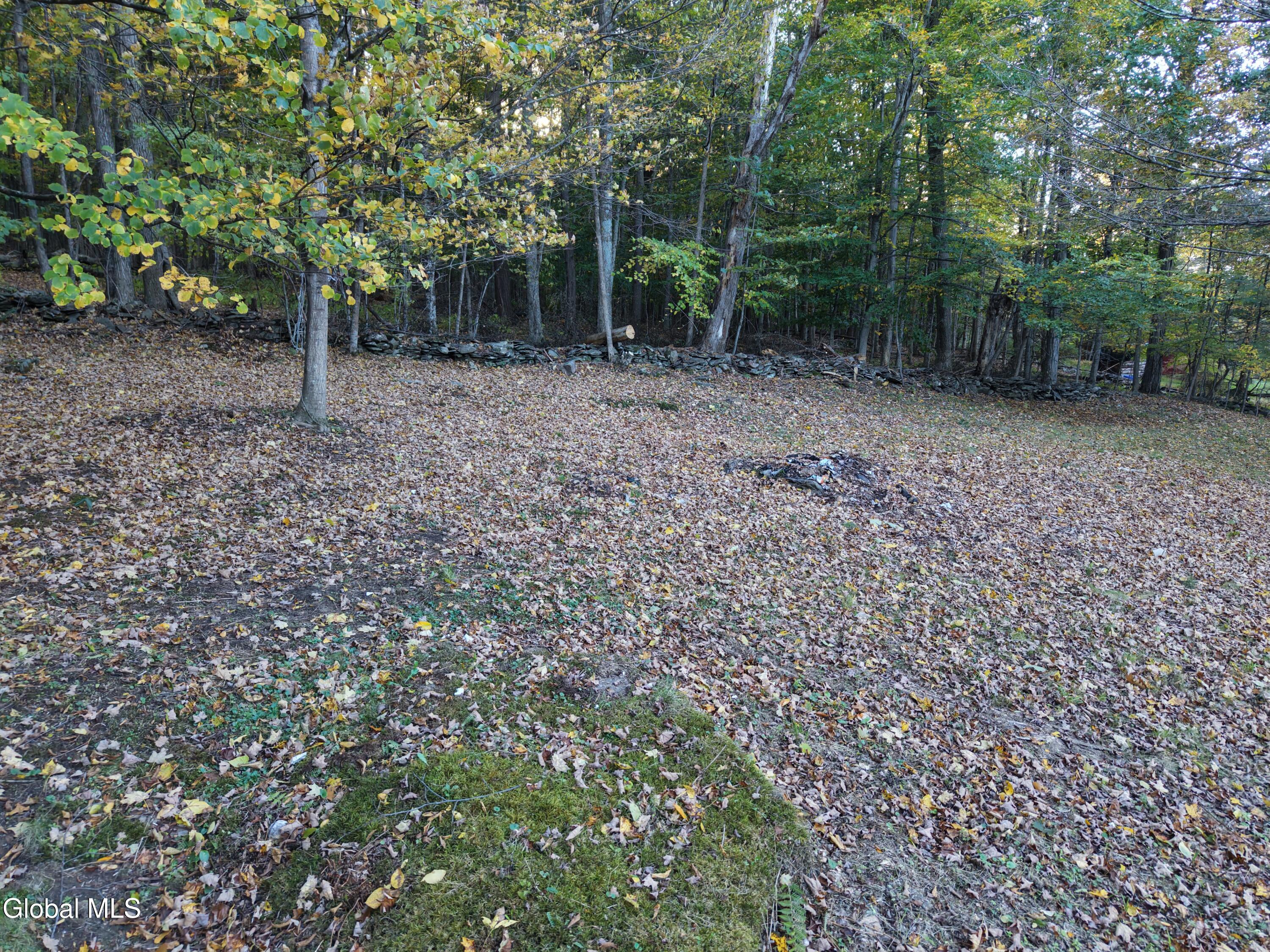 194 Enchanted Valley Road Durham, NY 12418 - Photo 27 of 45 dji_fly_20261005_170818_0424_17913078802