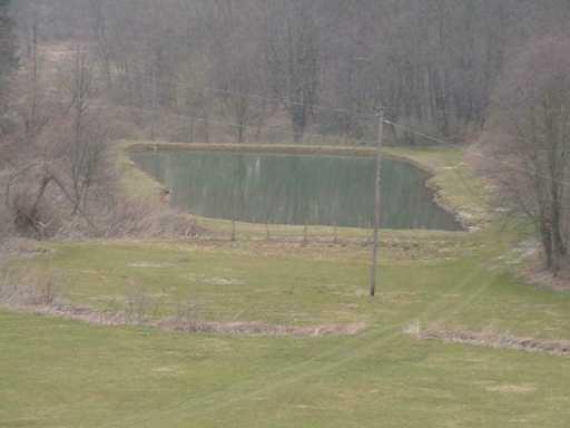 263 High Point Road West Finley, PA 15377 - Photo 4 of 8 Other.