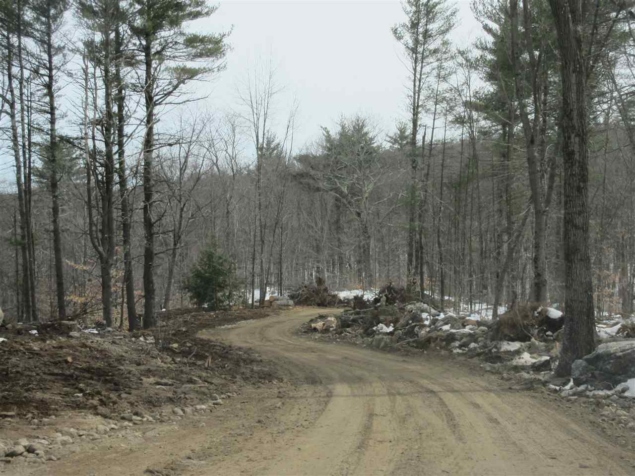 Horse Corner Road Chichester, NH 03258 - Photo 10 of 14