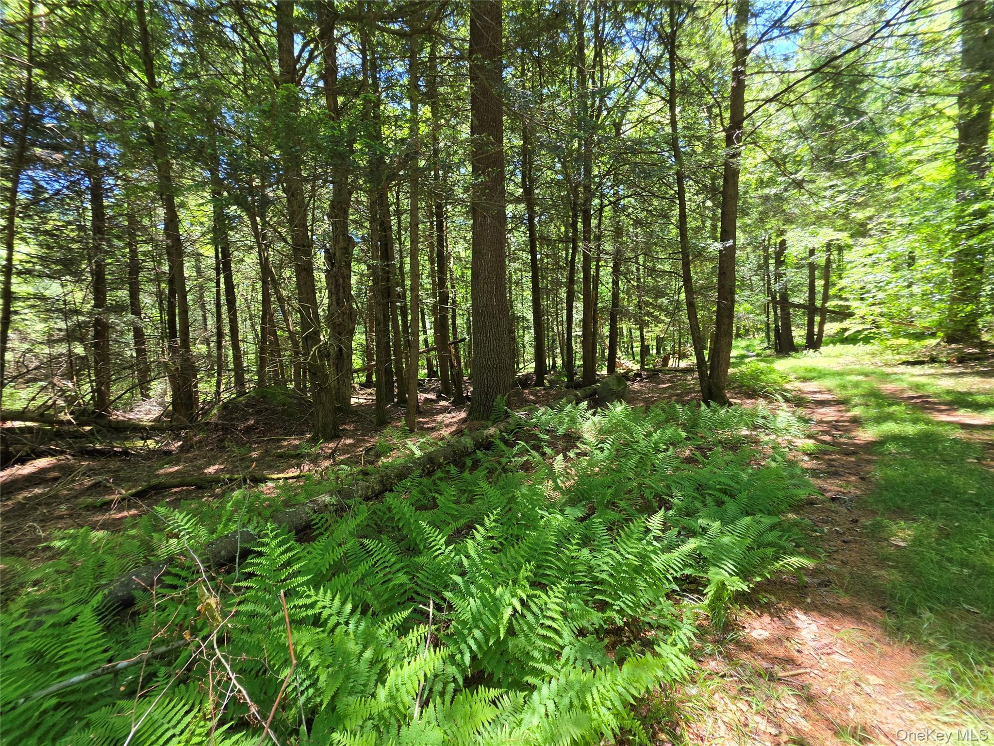 Tbd Camp Kennybrook Road Monticello, NY 12701 - Photo 6 of 34