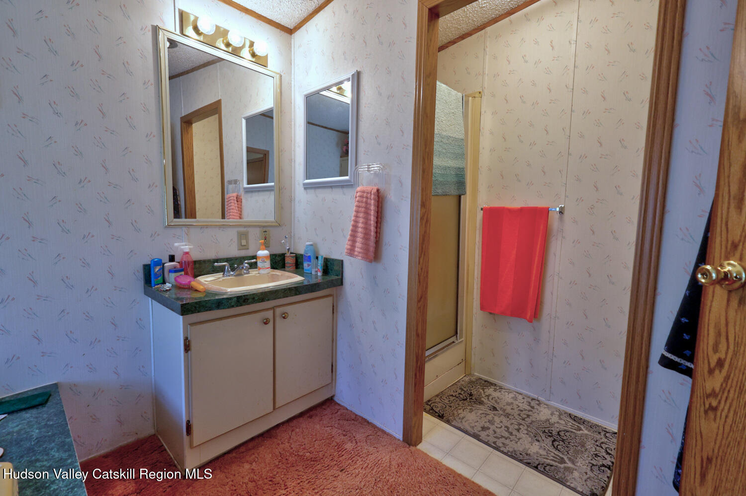 63 Meadow Road Cairo, NY 12413 - Photo 44 of 90 9zi