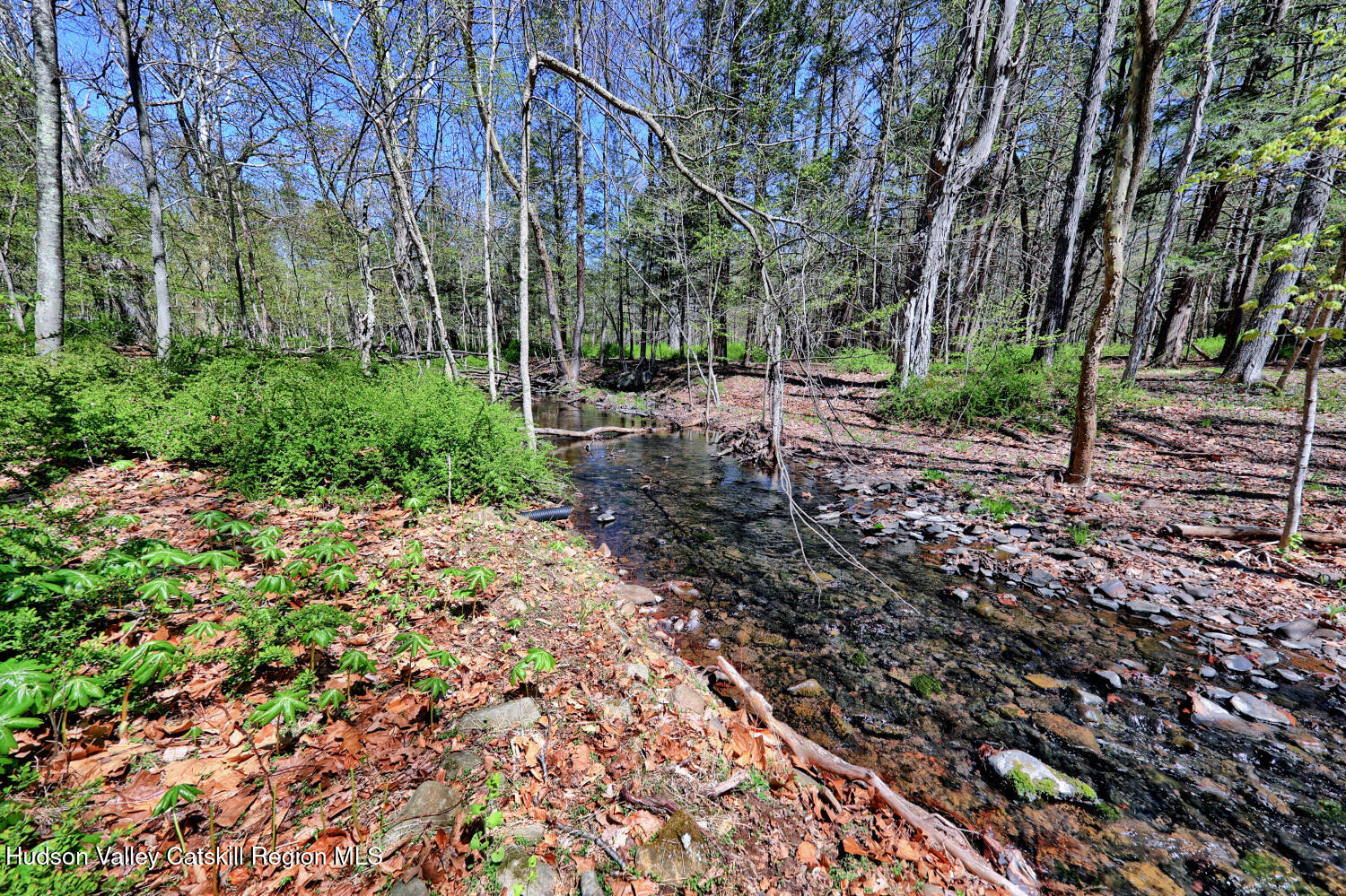 63 Meadow Road Cairo, NY 12413 - Photo 71 of 90 9zzk