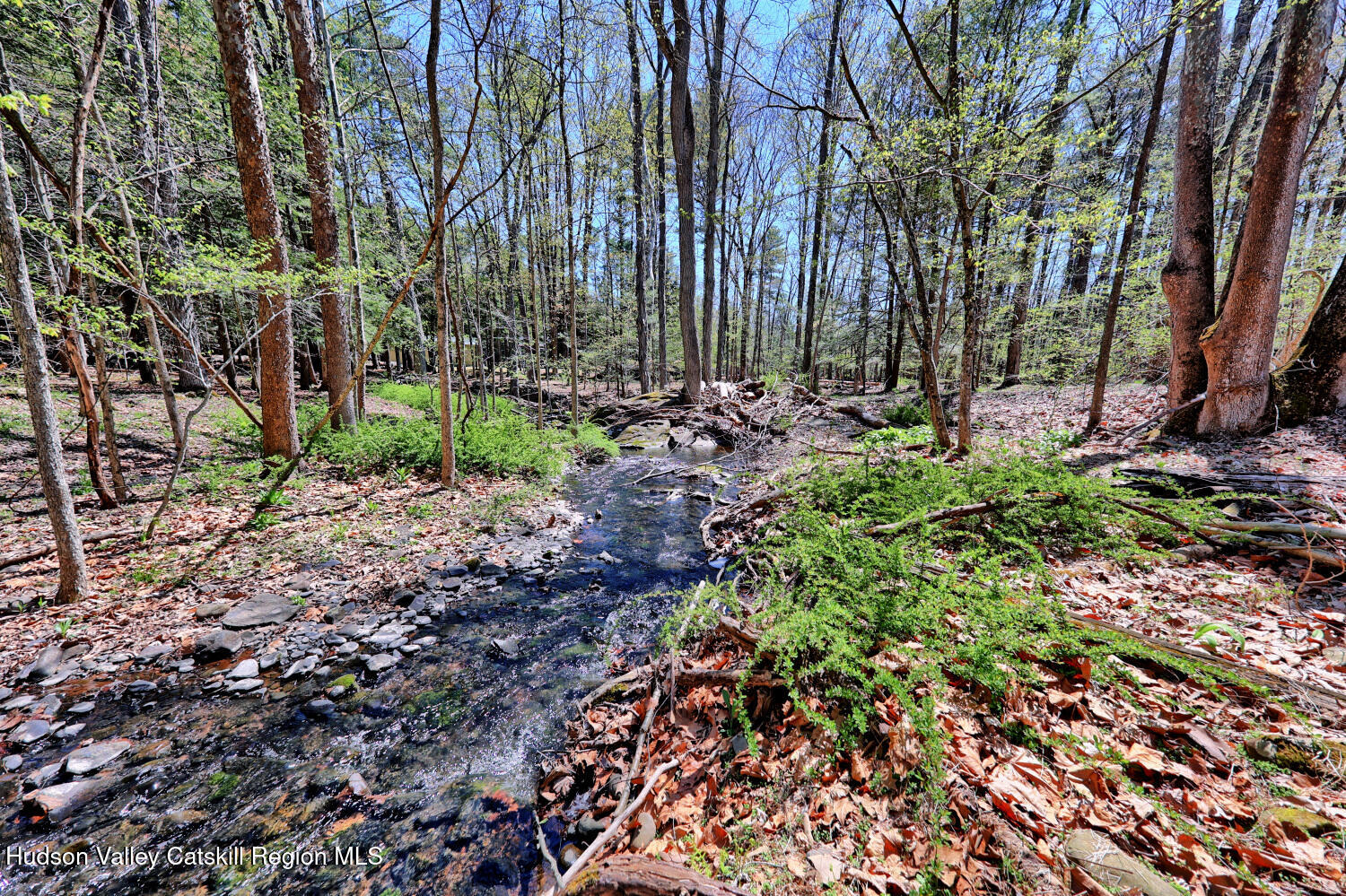 63 Meadow Road Cairo, NY 12413 - Photo 73 of 90 9zzm
