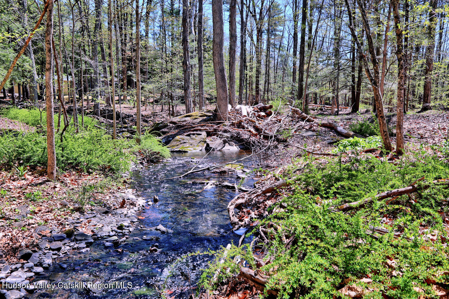 63 Meadow Road Cairo, NY 12413 - Photo 74 of 90 9zzn