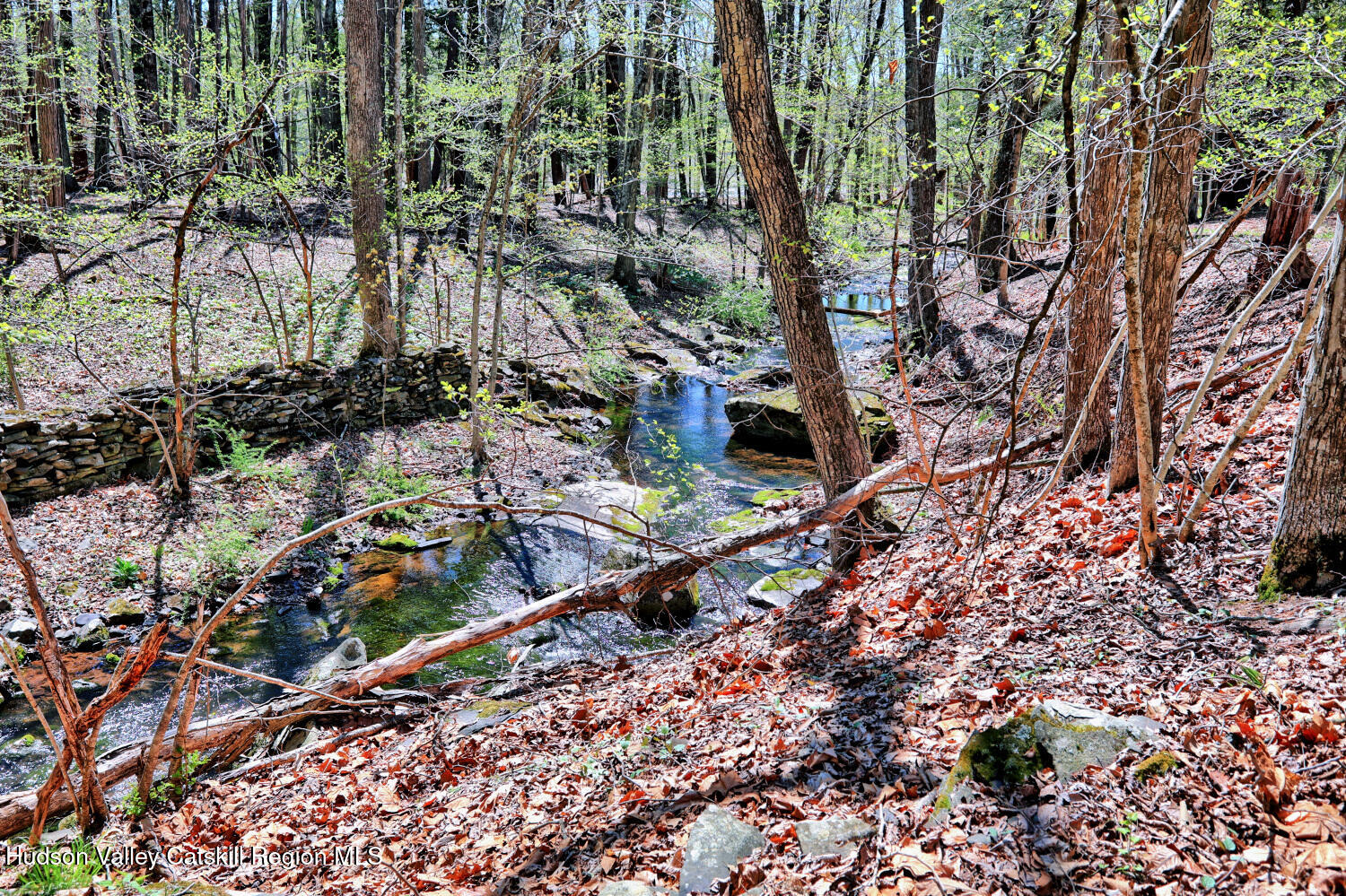 63 Meadow Road Cairo, NY 12413 - Photo 76 of 90 9zzp