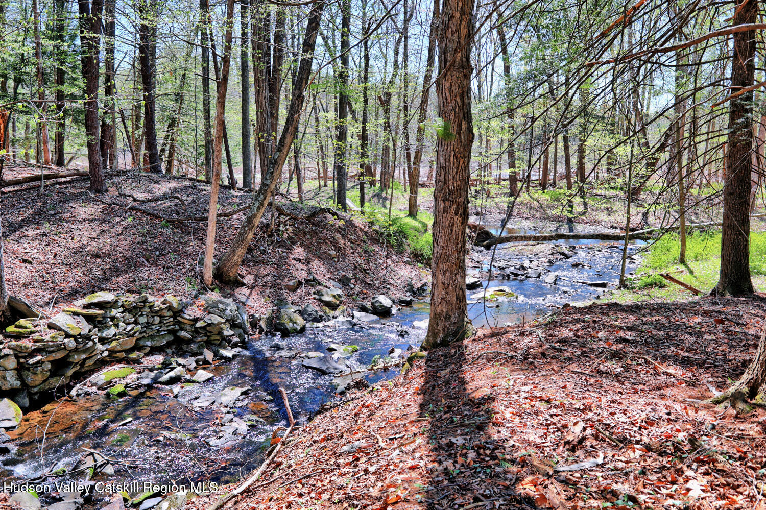 63 Meadow Road Cairo, NY 12413 - Photo 78 of 90 9zzr