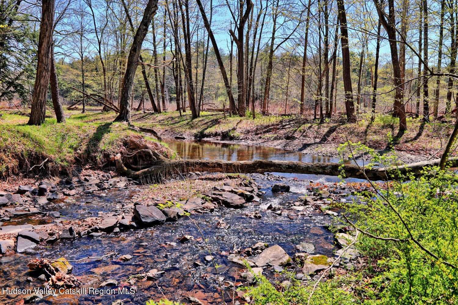 63 Meadow Road Cairo, NY 12413 - Photo 80 of 90 9zzt
