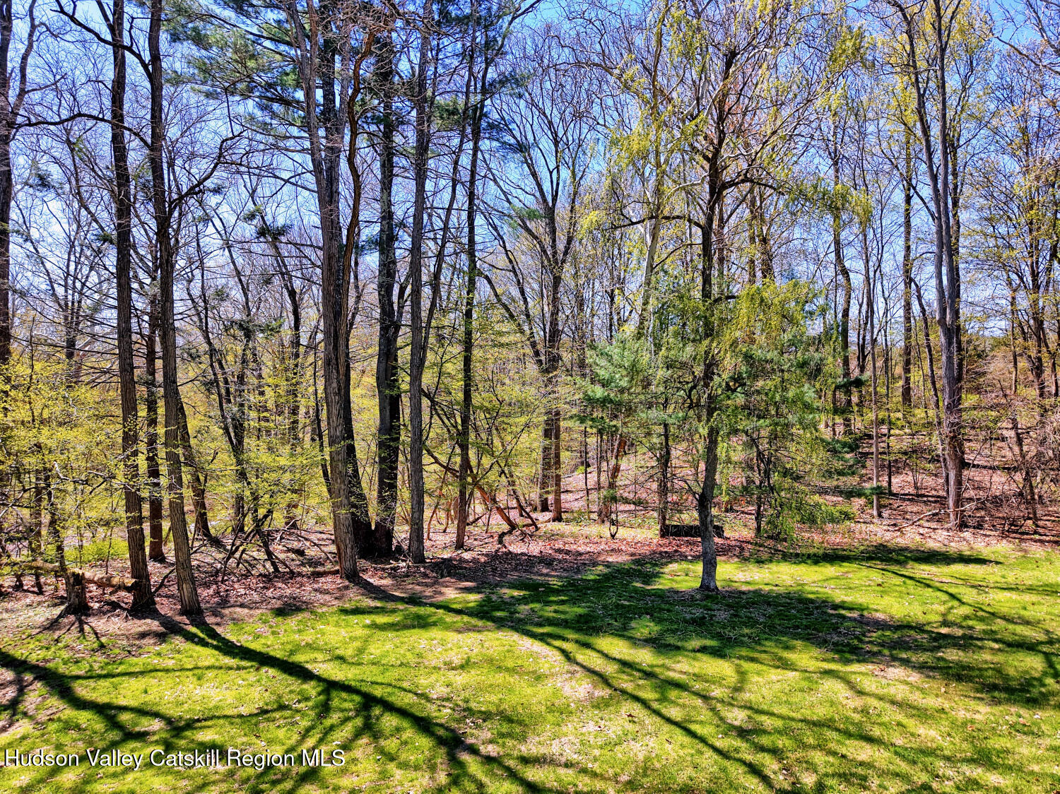63 Meadow Road Cairo, NY 12413 - Photo 81 of 90 9zzu