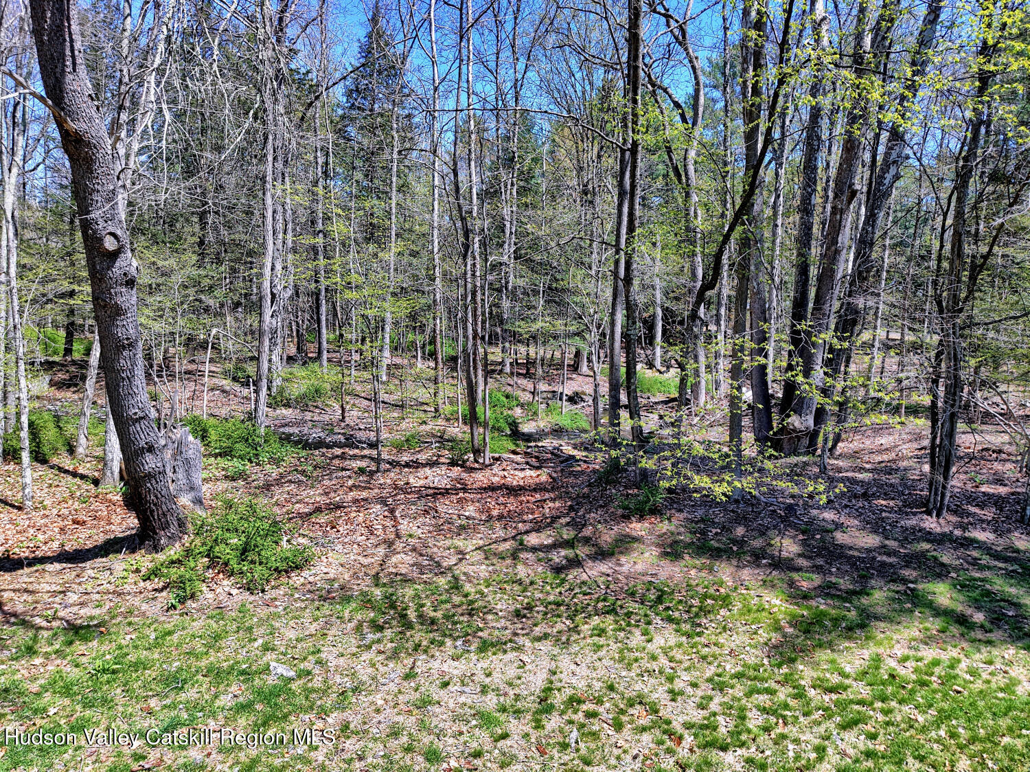 63 Meadow Road Cairo, NY 12413 - Photo 83 of 90 9zzw