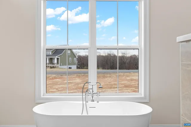 a view of a yard with plants and large trees