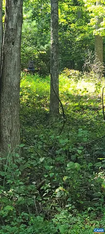 a view of outdoor space and garden