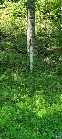 $1,295,000 | 12 Langdon Woods Drive, Dyke, VA 22935