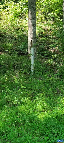 $1,295,000 | 12 Langdon Woods Drive, Dyke, VA 22935