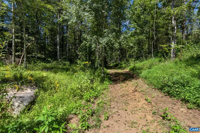 $1,295,000 | 12 Langdon Woods Drive, Dyke, VA 22935