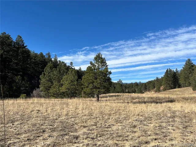 $120,000 | San Pablo Canyon, Weston, CO 81091