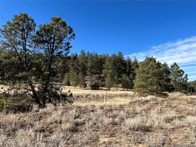 $120,000 | San Pablo Canyon, Weston, CO 81091