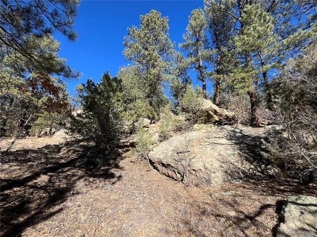 $120,000 | San Pablo Canyon, Weston, CO 81091