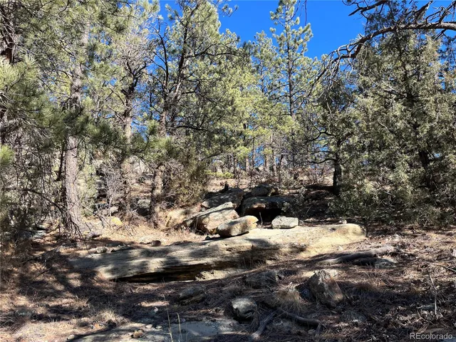 $120,000 | San Pablo Canyon, Weston, CO 81091