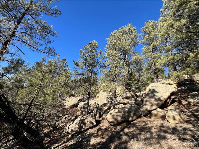 $120,000 | San Pablo Canyon, Weston, CO 81091