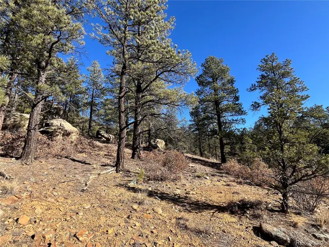 $120,000 | San Pablo Canyon, Weston, CO 81091