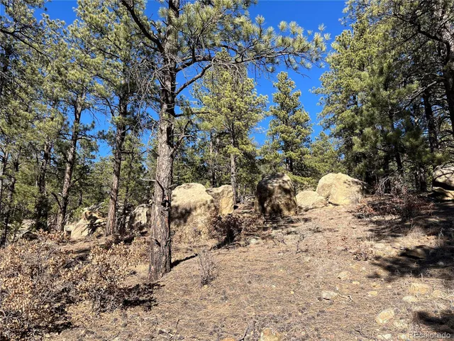 $120,000 | San Pablo Canyon, Weston, CO 81091