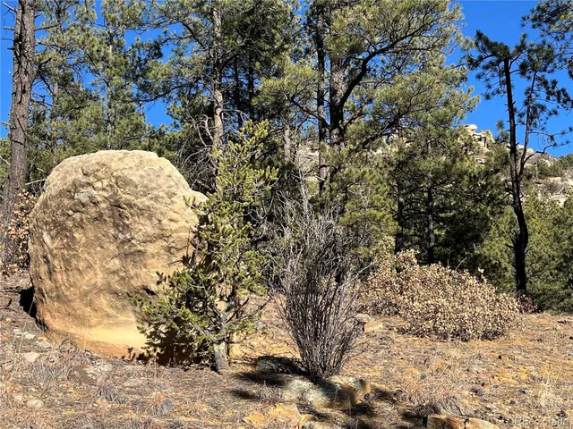 $120,000 | San Pablo Canyon, Weston, CO 81091