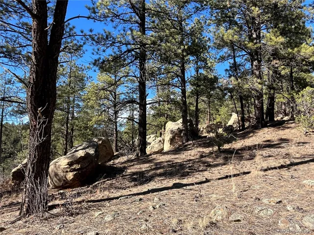$120,000 | San Pablo Canyon, Weston, CO 81091