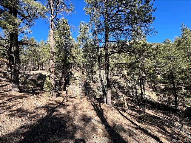 $120,000 | San Pablo Canyon, Weston, CO 81091