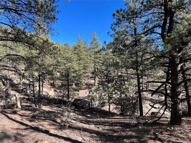 $120,000 | San Pablo Canyon, Weston, CO 81091