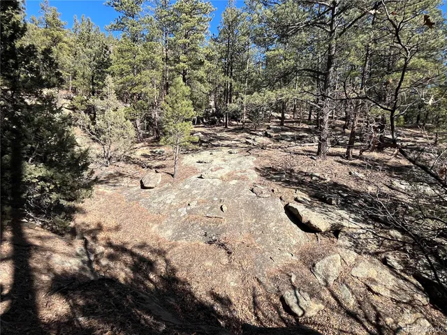 $120,000 | San Pablo Canyon, Weston, CO 81091
