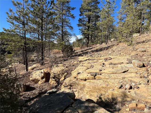 $120,000 | San Pablo Canyon, Weston, CO 81091