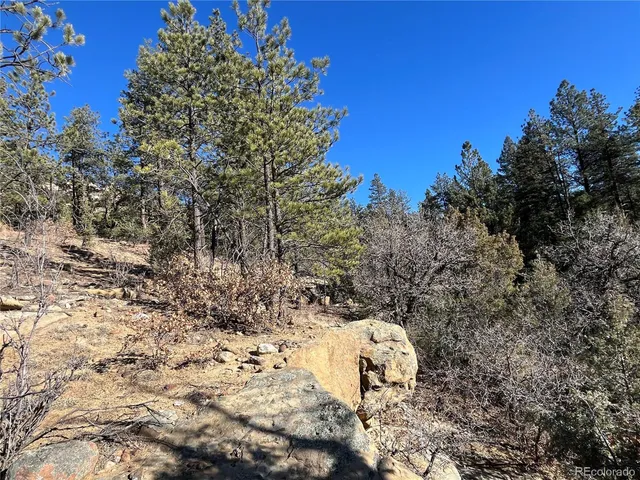 $120,000 | San Pablo Canyon, Weston, CO 81091
