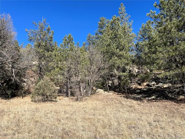 $120,000 | San Pablo Canyon, Weston, CO 81091