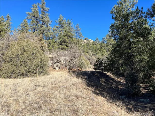 $120,000 | San Pablo Canyon, Weston, CO 81091