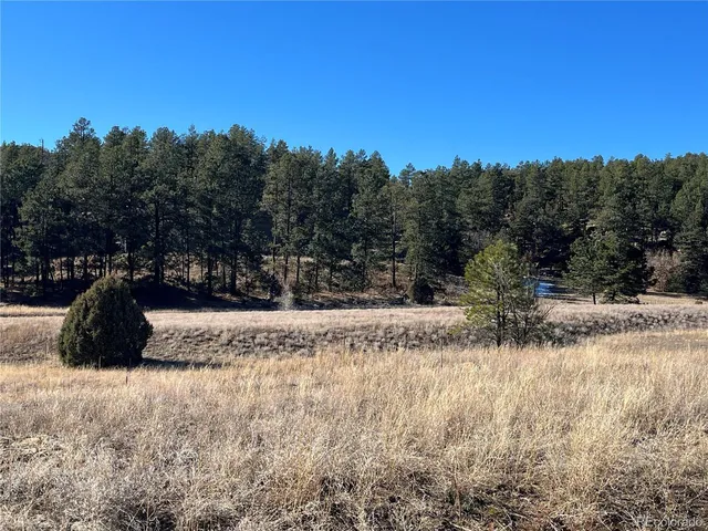 $120,000 | San Pablo Canyon, Weston, CO 81091