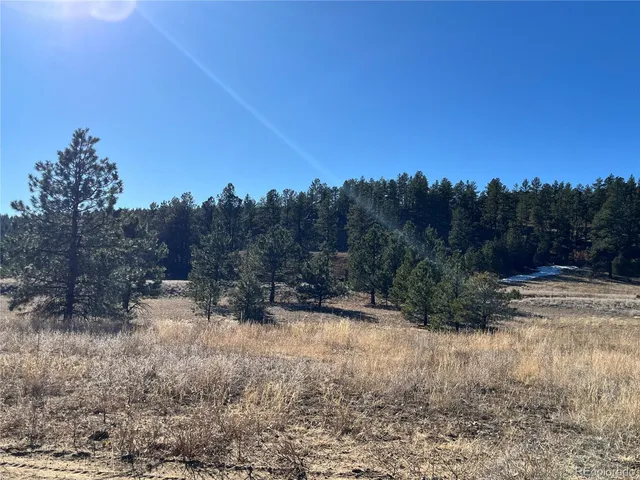 $120,000 | San Pablo Canyon, Weston, CO 81091